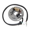 Electrosport, stator alternátoru, Yamaha YZ 250 '90-'95, WR250 90-97