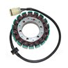 Electrosport, stator alternátoru, Kawasaki ZX-6R NINJA '98-'02