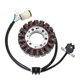 Electrosport, stator alternátoru, Yamaha YFM 700 RAPTOR '06-'16 (se snímačem)