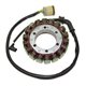 Electrosport, stator alternátoru, Honda TRX 450FM FOREMAN (02-04)