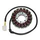 Electrosport, stator alternátoru, Triumph SPEED TRIPLE 1050 (05-11) (114/42mm)