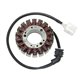 Electrosport, stator alternátoru, Yamaha FZ-1 (01-05)