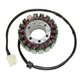 Electrosport, stator alternátoru, Triumph Tiger 955 (01-06), Daytona 955 (97-00), Sprint RS 955 (00-03), Sprint ST 955