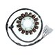 Electrosport, stator alternátoru, BMW S 1000RR 09-17, BMW S 1000RR 13-17, HP4 12-15