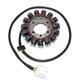 Electrosport, stator alternátoru, Kawasaki ZX-14 NINJA (06-13)