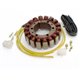 Electrex, stator alternátoru, Yamaha V-MAX 1200