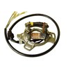 Electrex, stator alternátoru, Kawasaki KX 125 87-88, KX 250 81-88, KX 500 86-89