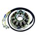 Electrex, stator alternátoru, se světly, Husqvarna TE 510/610