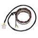 Electrosport, stator alternátoru, Honda CB 650/750/900/1100 '79-'83