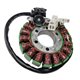 Electrosport, stator alternátoru, Yamaha YZF-R3 15-16 (se snímačem)