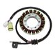 Electrosport, stator alternátoru, Yamaha YFM 350 GRIZZLY (07-11), BRUIN (04-06), WOLVERINE (06-09) (se snímačem)