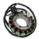 Electrosport, stator alternátoru, Suzuki TL 1000S / TL 1000R (98-03)