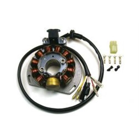 Electrex, stator alternátoru, KTM EXC 125/200/300