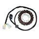 Electrosport, stator alternátoru, Hyosung GT 650/650S/650R '06-'13, GV650 AQUILA '06-'13