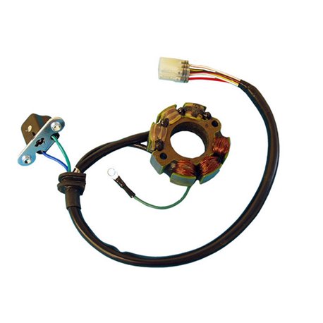 Electrex, stator alternátoru, Suzuki RMZ250, RMZ 450