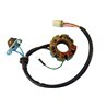 Electrex, stator alternátoru, Suzuki RMZ250, RMZ 450