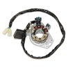 Electrosport, stator alternátoru, Honda CR 250 '97-'99