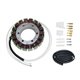 Electrosport, stator alternátoru, Suzuki VS 750 '85-'91, 700/750 '85-'91