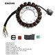 Electrosport, stator alternátoru, CAM AM TRAXTER 500 (99-05) (420296321)