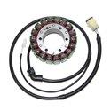 Electrosport, stator alternátoru, Kawasaki ZX-12R (00-01)