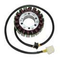 Electrosport, stator alternátoru, Ducati 748/996/998/1000