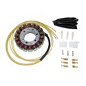 Electrosport, stator alternátoru, Suzuki VZ 800 MARAUDER (97-04), Kawasaki ZX-6R (95-97), ZZR 600 (90-04)