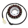 Electrosport, stator alternátoru, Aprilia RST 1000 Futura (01-04), ETV 1000 Caponord (02-07)