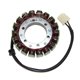 Electrosport, stator alternátoru, Triumph DAYTONA 600/650 (02-05)