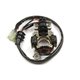 Electrex, stator alternátoru, Yamaha YZF 450 (06-09)