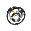 Electrex, stator alternátoru, se světly, Yamaha YZF 450 (06-09)