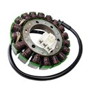 Electrosport, stator alternátoru, Honda VT750C2