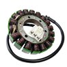 Electrosport, stator alternátoru, Honda VT750C2