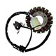 Electrosport, stator alternátoru, Yamaha YFZ450R '09-'16 (EFI) (se snímačem)