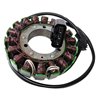 Electrosport, stator alternátoru, Yamaha FJR1300 13-16