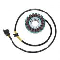 Electrosport, stator alternátoru, Suzuki GS 500E/F '01-'10