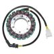 Electrosport, stator alternátoru, Honda VT 600C SHADOW '88-'07