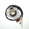 Electrosport, stator alternátoru se světly, KTM (50W) (s plotnou a snímačem) SX/EXC 125 98-05, SX/EXC250 97-05, E