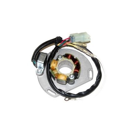 Electrosport, stator alternátoru se světly, KTM 125/200/250/300 EXC/SX/XC 06- (50W) komplet s plotnou a snímačem