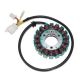 Electrosport, stator alternátoru, KTM 400/640 LC4 '98-'05