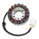 Electrosport, stator alternátoru, Honda CBR 600RR (03-06)