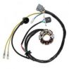 Electrosport, stator alternátoru se světly, Kawasaki KXF 250 (05-10), Suzuki RMZ 250 (05-06) (se snímačem) (50W)