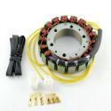 GZ, stator alternátoru, Honda CX 500/650 (80-83), VT 1100C (85-07), VT 750C (98-99)